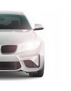 Lampade led per Posizione Renault Clio iv 4 dal 2014 in poi canbus