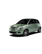 lancia ypsilon illuminazione led xenon posizione interni targa